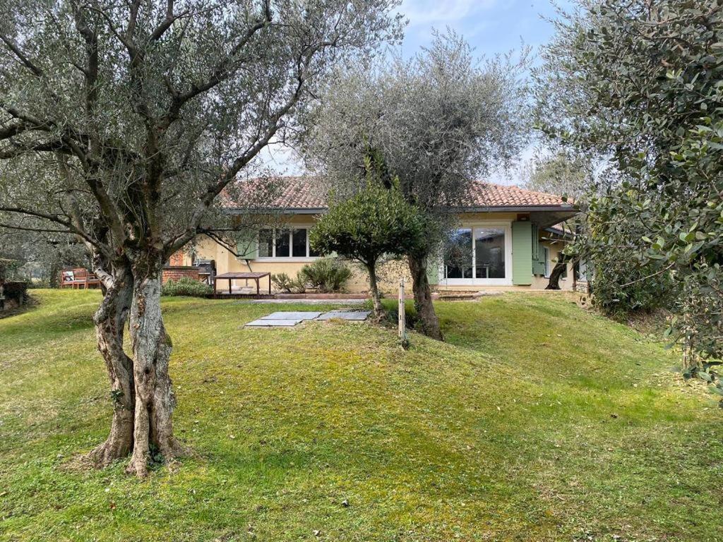 Villa Sweet Flower - With Private Pool And Garden Manerba del Garda Exterior foto
